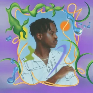 salute Shield 12″ Vinyl EP 2023