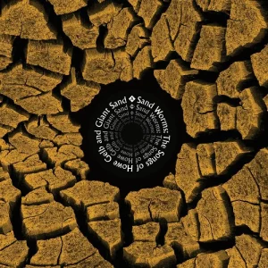 Sand Worms: The Songs Of Howe Gelb And Giant Sand Vinyl LP 2025