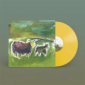 Seamus Fogarty God Damn You Mountain Vinyl LP Yellow TShirt Colour 2025