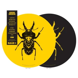 SECT (Picture Disc Vinyl)