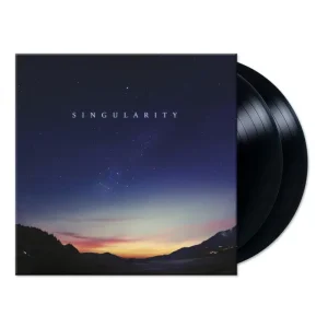 Singularity (2LP)