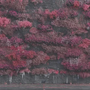 Sleep Token Even In Arcadia Vinyl LP Opaque Black Colour 2025