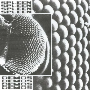 Spleen Demos Vinyl LP 2025
