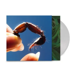 Squid Cowards Vinyl LP Indies Clear Colour 2025