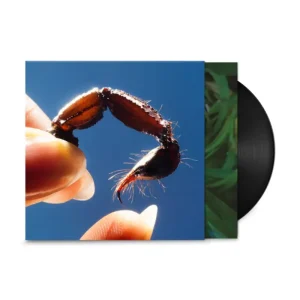 Squid Cowards Vinyl LP + Signed Print 2025