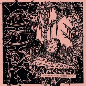Stenched Purulence Gushing From The Coffin Vinyl LP 2025
