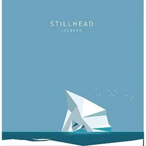 Stillhead Iceberg Vinyl LP 2016