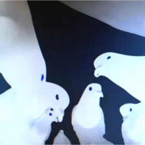 Stimming Friedrich Vinyl LP 2025