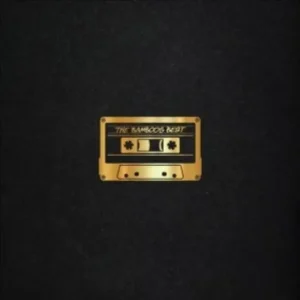 The Bamboos Best 25th Anniversary Vinyl LP Due Out 19/09/25