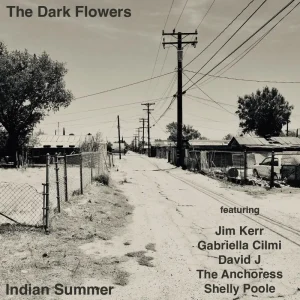 The Dark Flowers Indian Summer Vinyl LP 2025