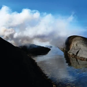 The Embassy E-Numbers Vinyl LP 2024