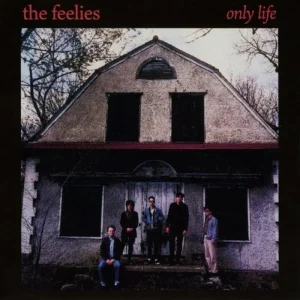 The Feelies Only Life Vinyl LP Red Colour 2025
