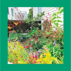 The Reds, Pinks And Purples Unwishing Well Vinyl LP 2024