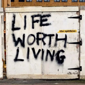 The Spitfires Life Worth Living Vinyl LP 2020