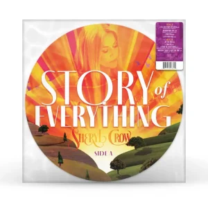 The Story Of Everything (LP)