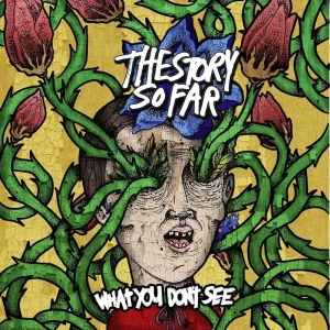 The Story So Far What You Don’t See Vinyl LP Marble Colour 2025