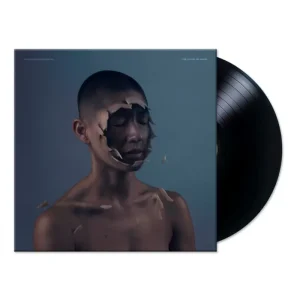 The Valley Of Vision (LP)