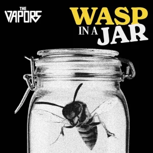 The Vapors Wasp In A Jar Vinyl LP 2025