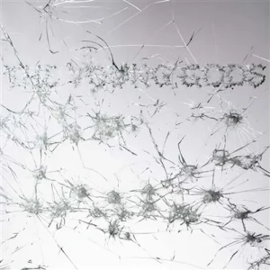 The Young Gods Appear Disappear Vinyl LP + CD 2025