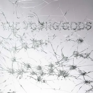 The Young Gods Appear Disappear Vinyl LP Northern Light Colour 2025