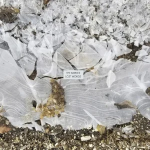 Tim Barnes Lost Words Vinyl LP 2025