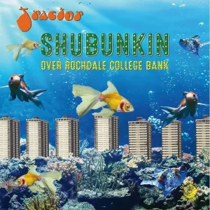 Tractor Shubunkin Over Rochdale College Bank Vinyl LP 2019