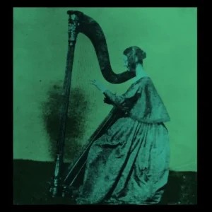 TV GIRL Grapes Upon The Vine Vinyl LP Reissue 2023