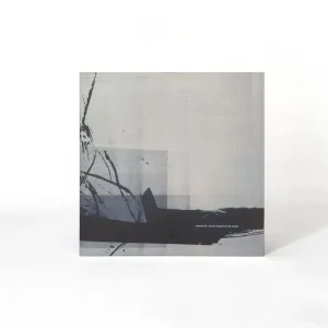 Underworld Second Toughest in the Infants Vinyl LP Reissue 2025