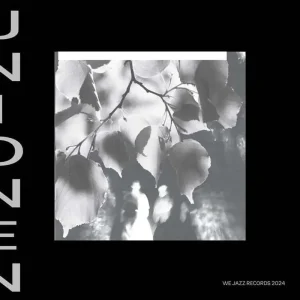 Unionen Unionen Vinyl LP 2025