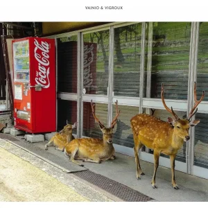 Vainio & Vigroux Peau Froide, Leger Soleil Vinyl LP 2025