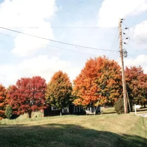 vegas water taxi things are gonna be alright (extended edition) Vinyl LP 2025