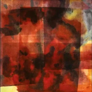 Vilhelm Bromander In This Forever Unfolding Moment Vinyl LP 2023