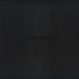 Vince Staples Dark Times Vinyl LP 2024