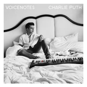 VoiceNotes CD