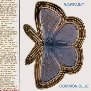 Warpaint Common Blue / Underneath 7″ Vinyl Single Transparent Blue Colour 2024
