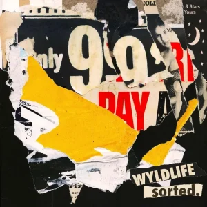 Wyldlife sorted. Vinyl LP 2025