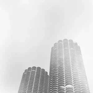 Yankee Hotel Foxtrot Standard Black Vinyl