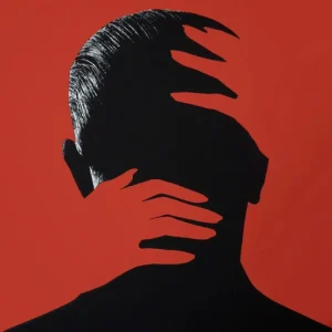 Yodelice What’s the Cure? Vinyl LP 2024