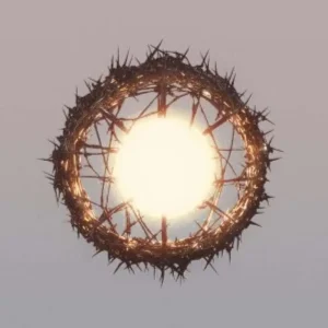 ZIUR Home Vinyl LP Due Out 05/09/25